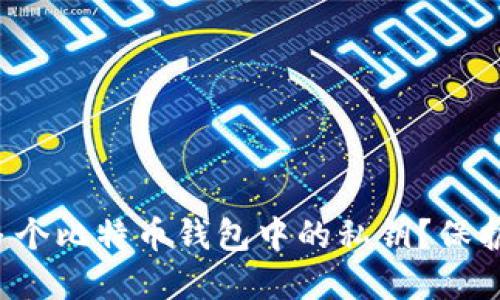 如何安全管理多个比特币钱包中的私钥？保护你的数字资产！