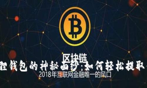 揭开小狐狸钱包的神秘面纱：如何轻松提取你的资产？