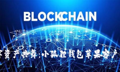 与你的数字资产共舞：小狐狸钱包苹果客户端下载指南