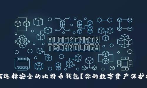 如何选择安全的比特币钱包？你的数字资产保护指南