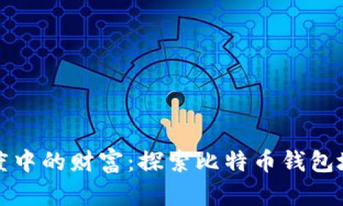 隐藏在灰度中的财富：探索比特币钱包地址的秘密
