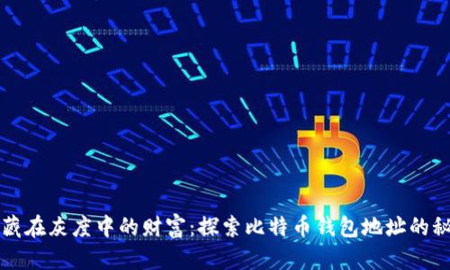 隐藏在灰度中的财富：探索比特币钱包地址的秘密