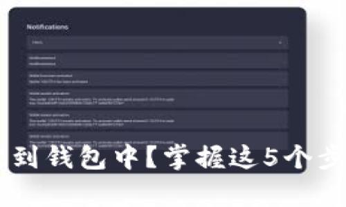 如何将比特币安全存放到钱包中？掌握这5个步骤，轻松保护你的资产！