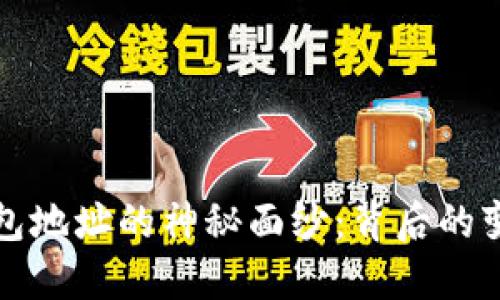 揭开比特币钱包地址的神秘面纱：背后的变化与隐私保护
