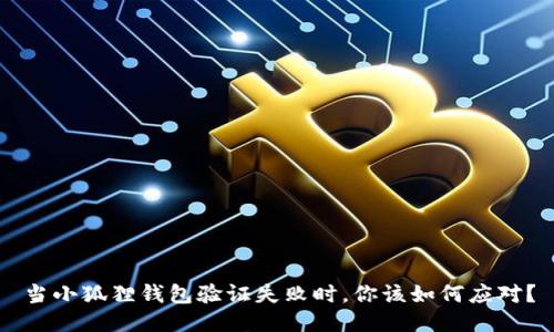 当小狐狸钱包验证失败时，你该如何应对？