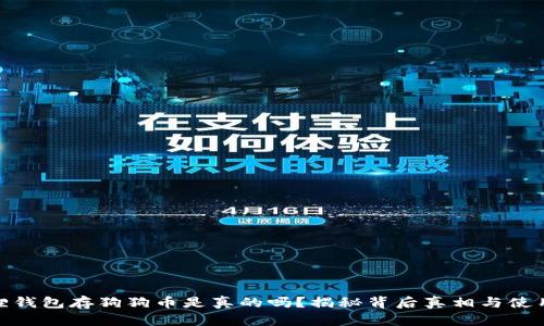小狐狸钱包存狗狗币是真的吗？揭秘背后真相与使用体验