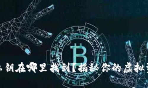 小狐狸钱包私钥在哪里找到？揭秘你的虚拟资产安全之道