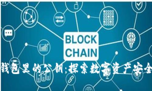 小狐狸钱包里的公钥：探索数字资产安全的秘密