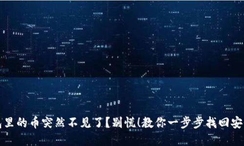 小狐狸钱包里的币突然不见了？别慌！教你一步步找回安全感与资产