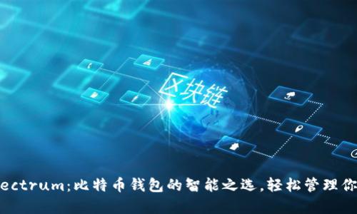 深入了解Electrum：比特币钱包的智能之选，轻松管理你的数字财富
