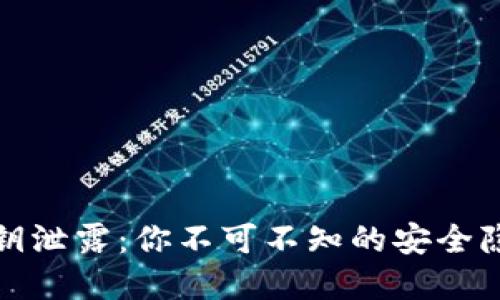 小狐狸钱包私钥泄露：你不可不知的安全隐患与解决方案
