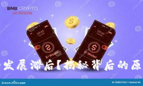比特币钱包的发展滞后？揭秘背后的原因与未来趋势
