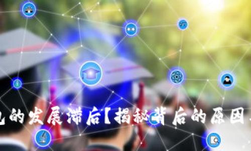 比特币钱包的发展滞后？揭秘背后的原因与未来趋势