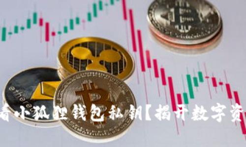 如何安全地查看小狐狸钱包私钥？揭开数字资产背后的秘密！