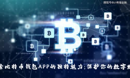探索比特币钱包APP的独特魅力：保护你的数字财富