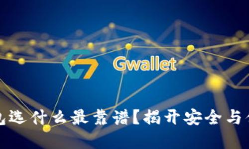 比特币钱包选什么最靠谱？揭开安全与便捷的秘密