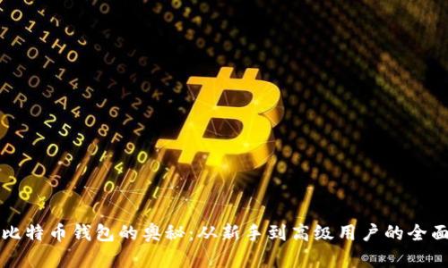 揭开比特币钱包的奥秘：从新手到高级用户的全面指南