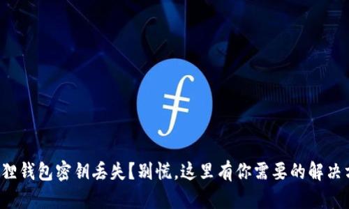 小狐狸钱包密钥丢失？别慌，这里有你需要的解决方案！