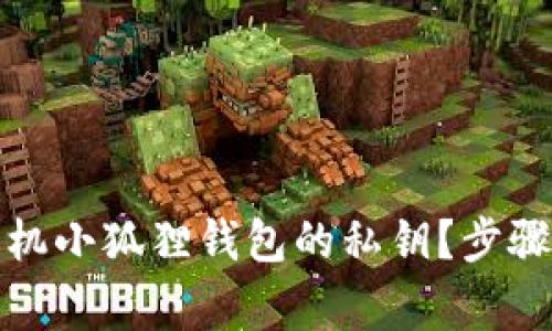 如何安全导出手机小狐狸钱包的私钥？步骤详解与注意事项