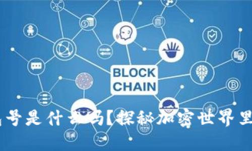 你知道USDT钱包号是什么吗？探秘加密世界里的数字资产之钥