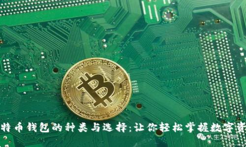 揭秘比特币钱包的种类与选择：让你轻松掌握数字资产安全