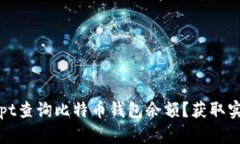 如何使用JavaScript查询比特