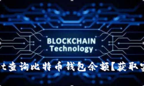 如何使用JavaScript查询比特币钱包余额？获取实时信息的详细指南
