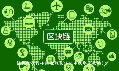 轻松提币到小狐狸钱包：FIL币提取全攻略！