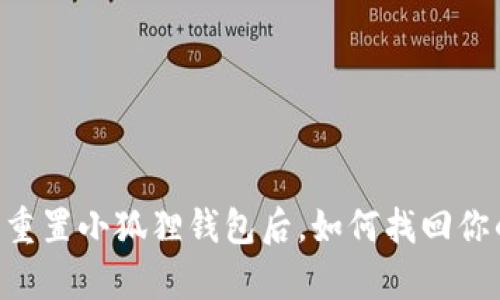 失而复得：重置小狐狸钱包后，如何找回你的Core币？