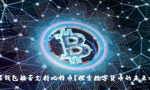 苹果钱包能否支持比特币？探索数字货币的未来之路
