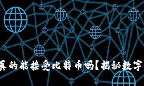 XAGToken钱包真的能接受比特币吗？揭秘数字货币钱包的秘密