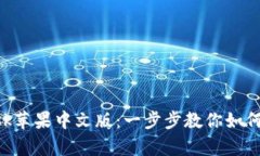 轻松安装MetaMask苹果中文版