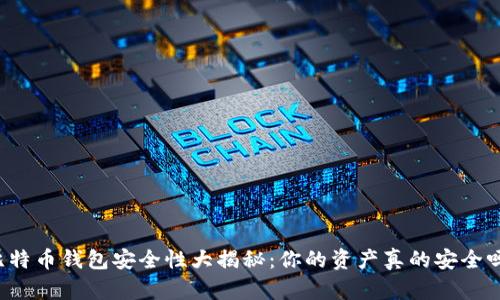 比特币钱包安全性大揭秘：你的资产真的安全吗？