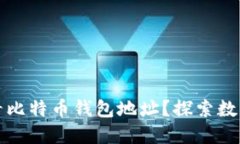 如何安全查看比特币钱包