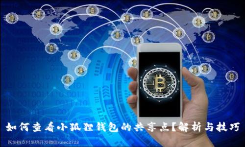如何查看小狐狸钱包的共享点？解析与技巧