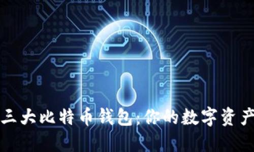 探索国内三大比特币钱包：你的数字资产保护神器