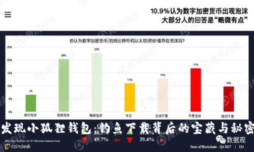 发现小狐狸钱包：钓鱼下载背后的宝藏与秘密