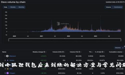 提现到小狐狸钱包后未到账的解决方案与常见问题分析