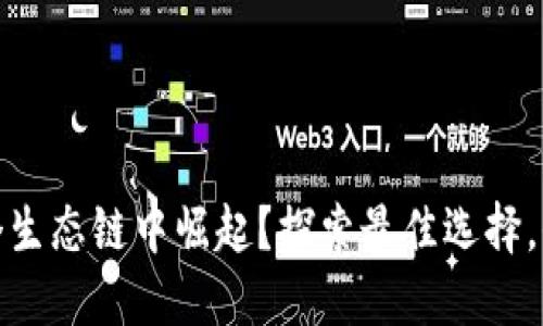 小狐狸钱包在哪个生态链中崛起？探索最佳选择，保证你的资产安全