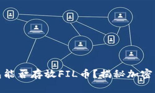 小狐狸钱包能否存放FIL币？揭秘加密钱包的奥秘