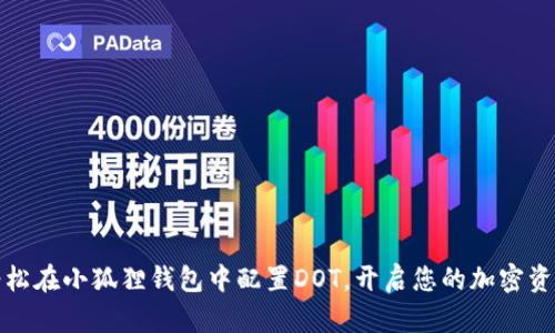 如何轻松在小狐狸钱包中配置DOT，开启您的加密资产之旅