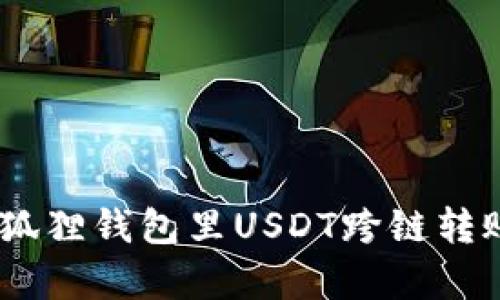 轻松掌握！小狐狸钱包里USDT跨链转账的神奇之旅