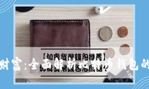 迈向数字财富：全面解析比特币钱包的使用窍门