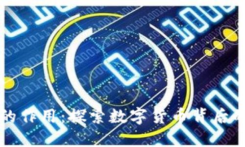 比特币钱包的作用：探索数字货币背后的安全与便利