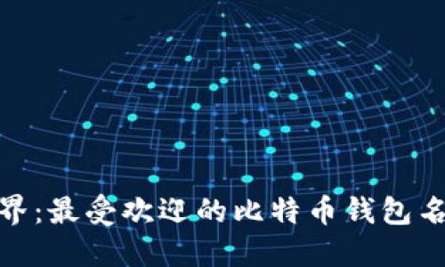 探寻比特币世界：最受欢迎的比特币钱包名称与使用体验