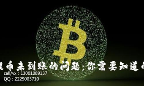 解决Metamask提币未到账的问题：你需要知道的细节和解决方案