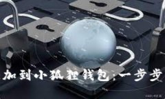 如何轻松将USDT代币添加到