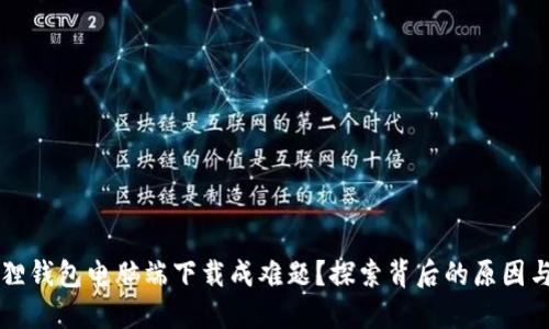 为何小狐狸钱包电脑端下载成难题？探索背后的原因与解决方案