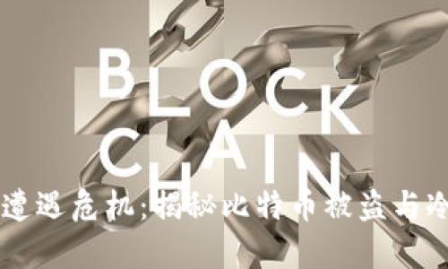 当数字财富遭遇危机：揭秘比特币被盗与冷钱包的真相