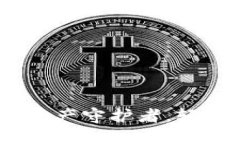 小狐狸钱包文件：你的数